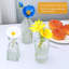 Ensemble de 18 vases en verre Brajttt