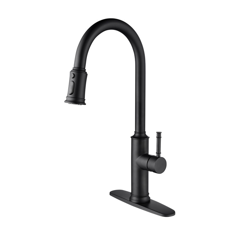 Kitchen Faucet With Pull Out Spraye