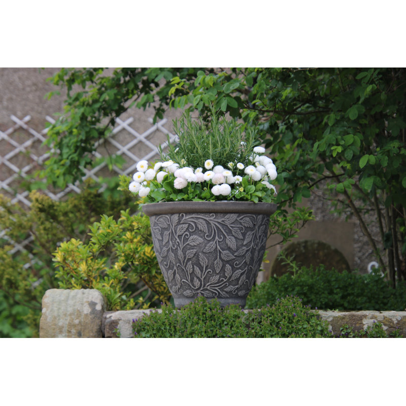 Montanez Pot Planter, 30 cm H x 41 cm W x 41 cm D
