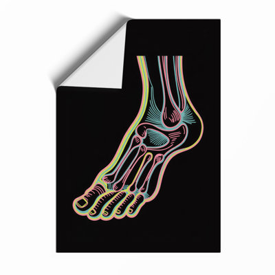 Anatomical Foot Study Educational - Framed Print