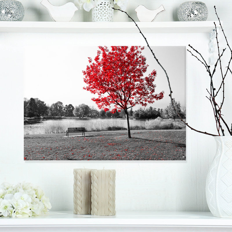Arbre rouge sur un banc de parc - reproduction de photo sur toile tendue, H 20 po x l 20 po x P 1 po