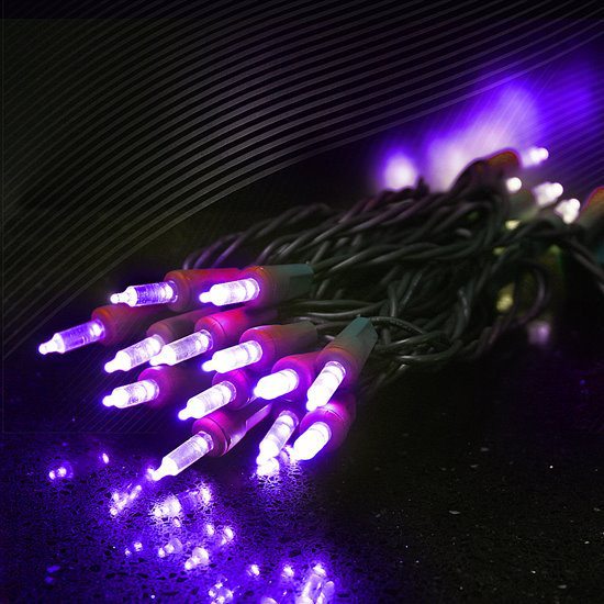 Guirlande de 50 lumières, Mauve
