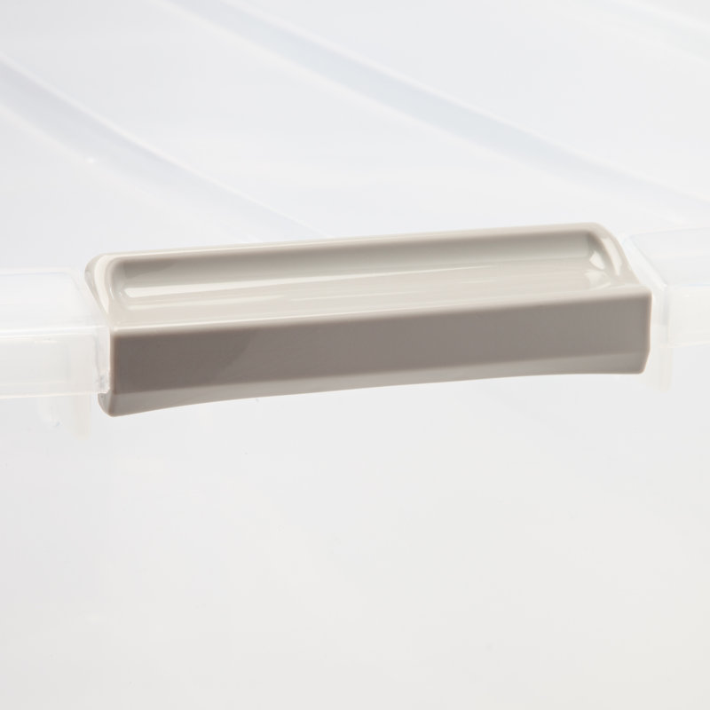 IRIS Plastic Box, Clear, 1