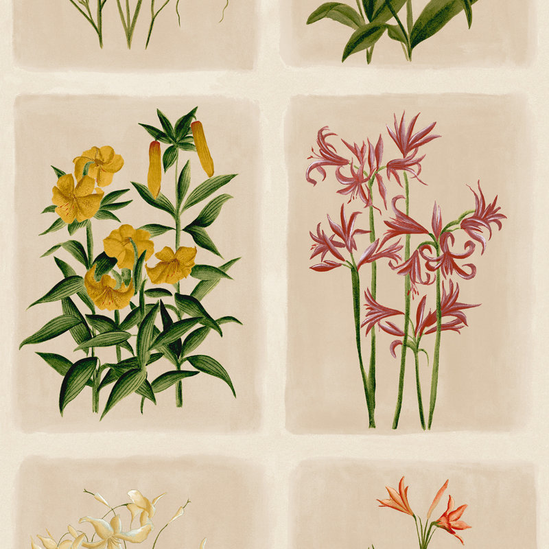 Laura Ashley Pershore Postcards Line Wallpaper