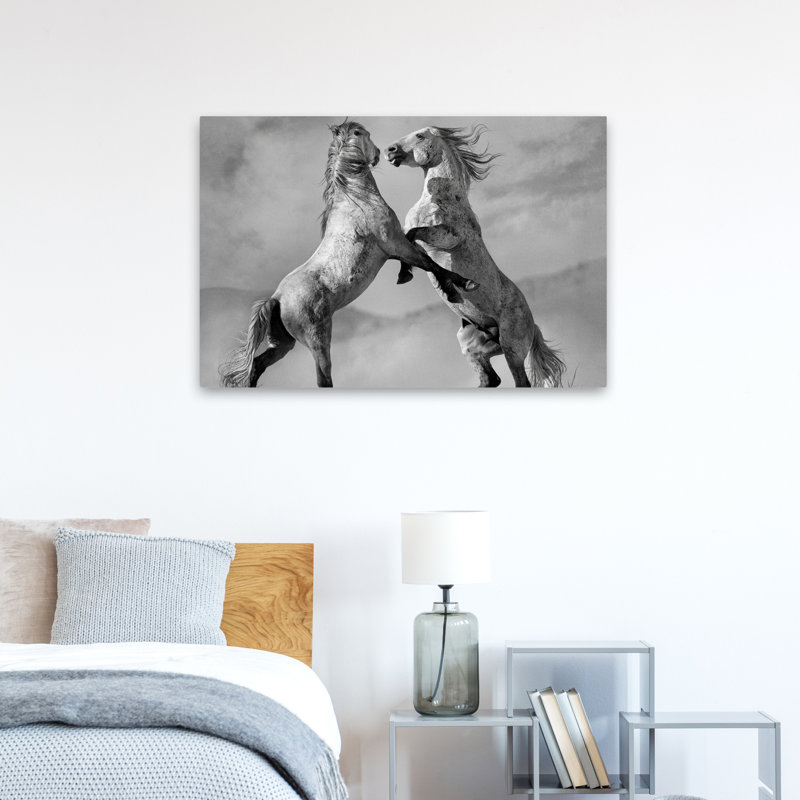 Challgers - Photographie, animaux, chevaux, art, H 24 po x l 36 po