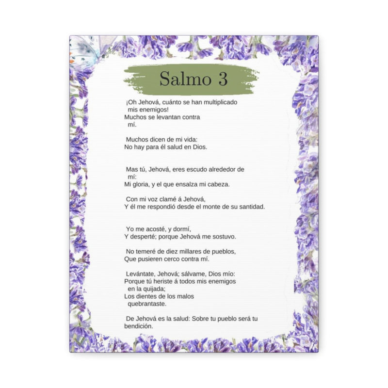 Art textuel sur toile tendue Salmo 3, H 16 po x l 12 po x P 1,25 po