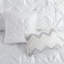 Grand édredon 7 pièces blanc - délicatesse comprend un édredon, des taies décoratives, des coussins, une jupe de lit avec coussins décoratifs et une touche exquise-119384981-119384980