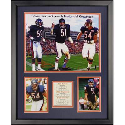 Memorabili de chicago ours-peluches encadrées NFL