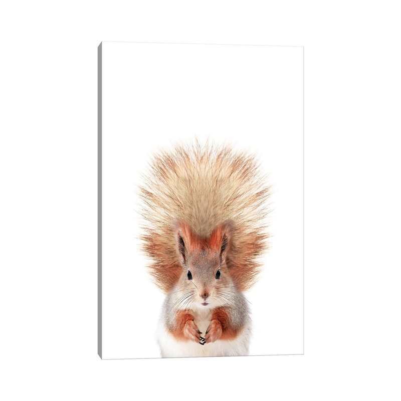 Baby Squirrel by Sisi & Seb - Wrapped Canvas Print, 101.6 cm H x 66.04 cm W x 1.91 cm D