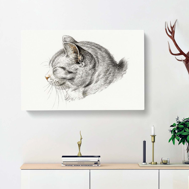 Cat Illustration by Jean Bernard - Wrapped Canvas Drawing - Wrapped Canvas, 35cm H x 50cm W x 3cm D
