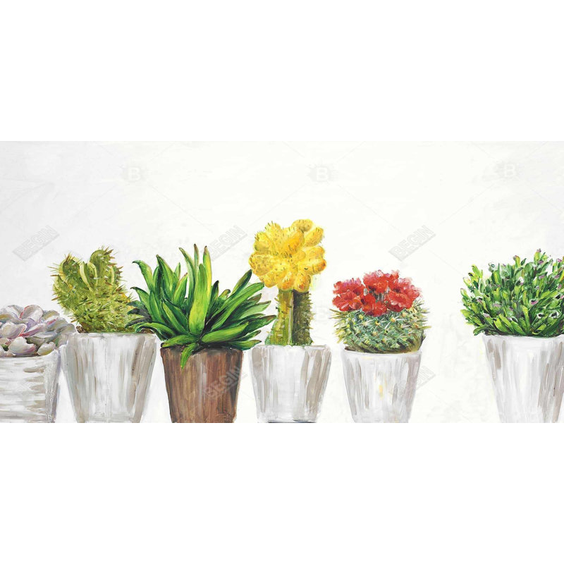 Petits cactus et plantes grasses - décor de toile exotique pour la cuisine