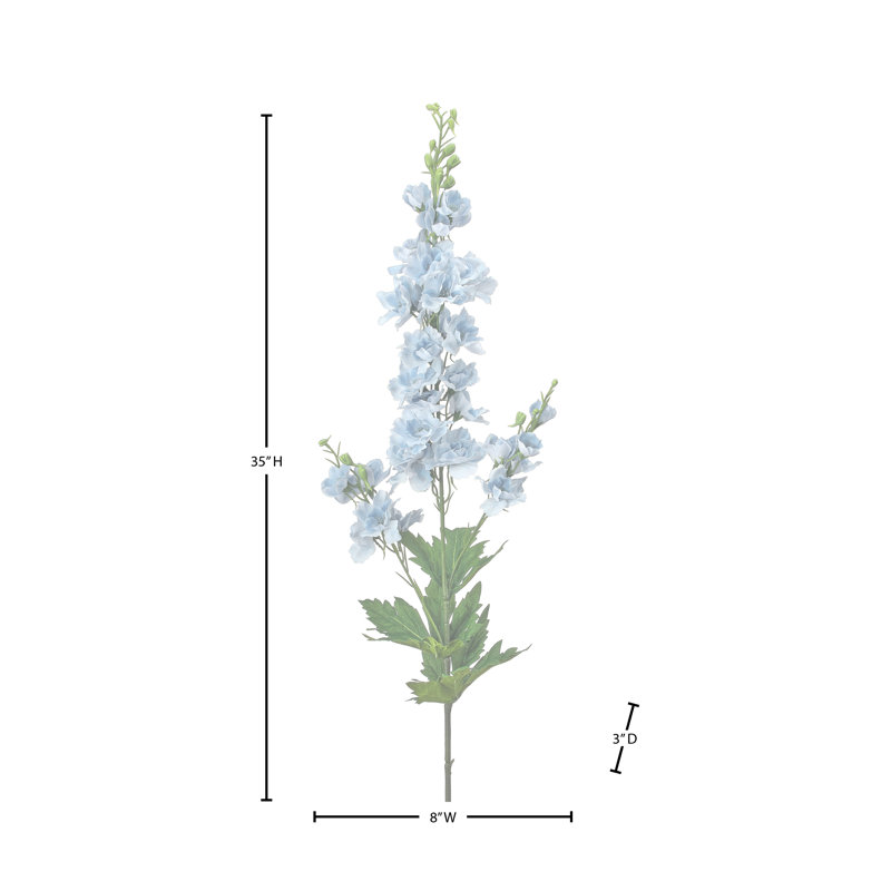 35 "Soft Touch Garden Delphinium , Bleu