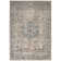 Minooka Oriental Indoor Rug