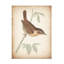  Art mural sur toile, "Wild Apple Portfolio"-101099212