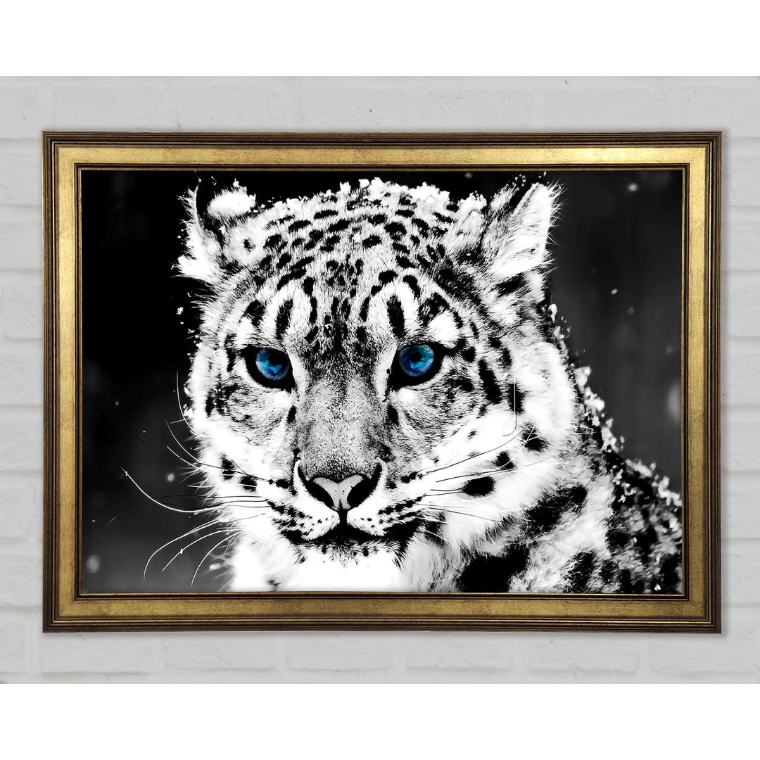 Snow Blue Eye Leopard - Einzelner Bilderrahmen Kunstdrucke