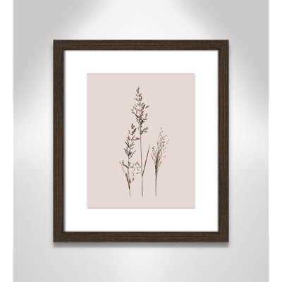 Delicate Stems I by Carol Robinson - Single Picture Frame Print -  Birch Lane™, DBDF8CFD373E46949B410E4C95CECF74