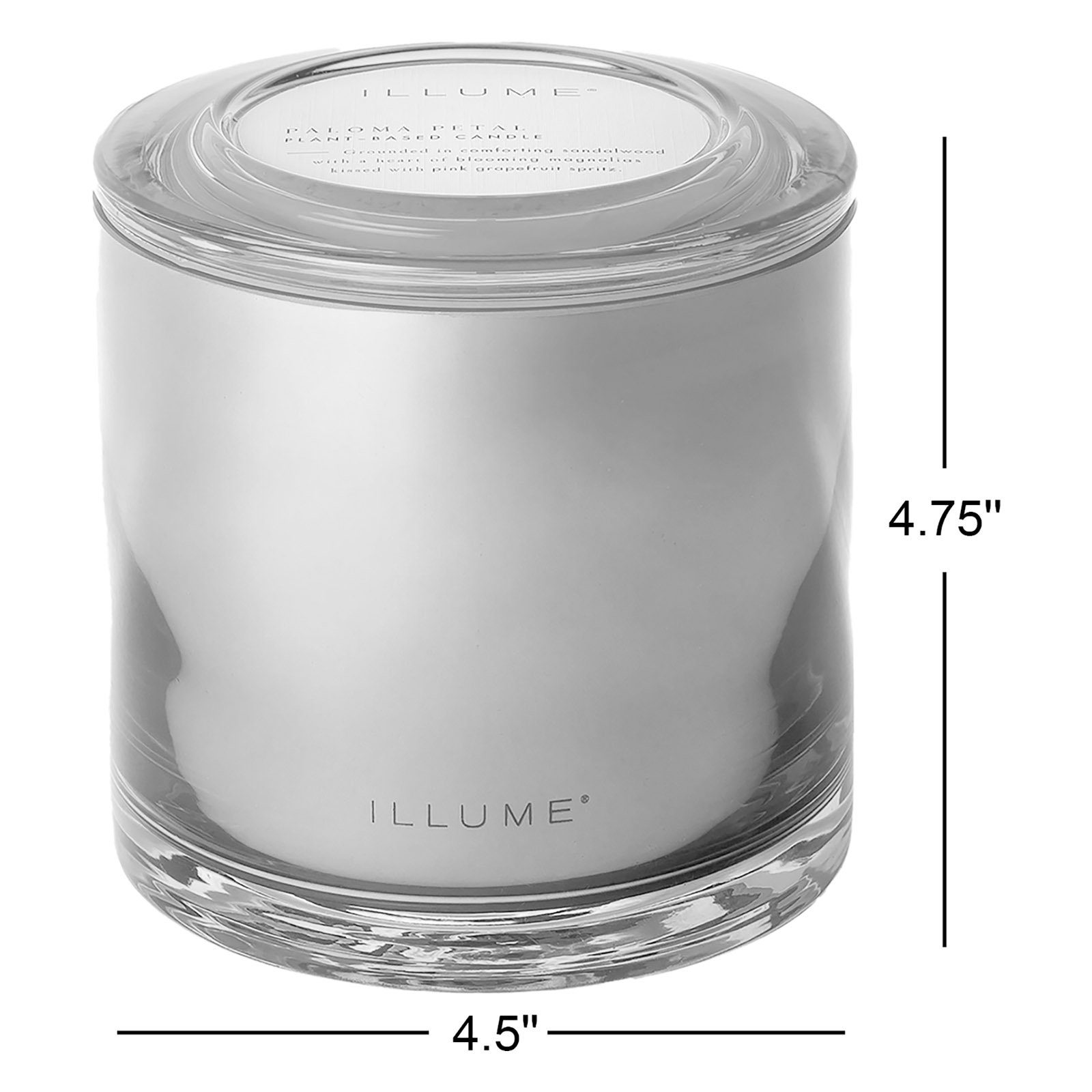 Beautifully Done Paloma Petal Candle, Statement Glass