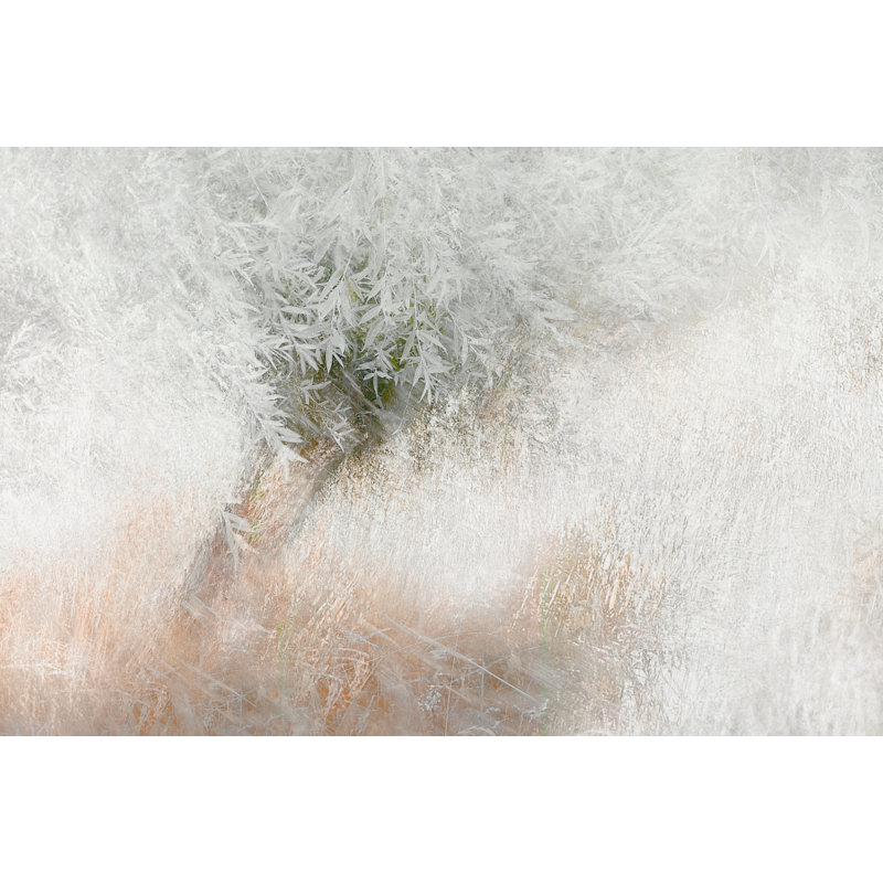 Wrapped Canvas Print, 50.8 cm H x 76.2 cm W