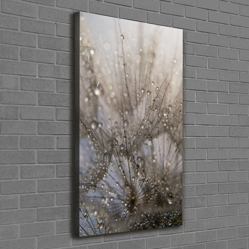 Dandelion Seeds - Wrapped Canvas Print
