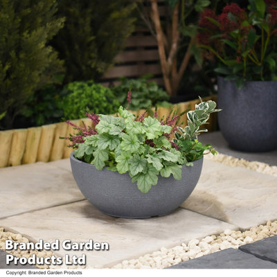 Bayadere Plant Pot Triple Pack