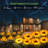 Plastic Low Voltage Solar Powered Integrated LED Pathway Light Pack