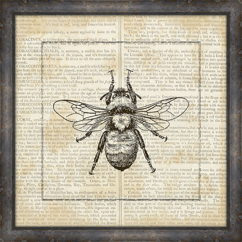 « abeilles on writing »-pictrure, impression sur papier, H 17 po x l 17 po x P 1,25 po