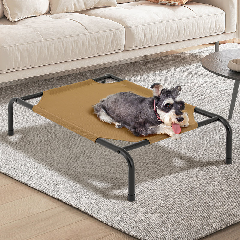 Small Navy Blue Elevated Outdoor Dog Bed with Steel Frame