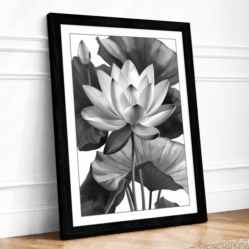 Lotus in Bloom Botanical - Framed Print, A1 - 84.1 x 59.4 cm, Black
