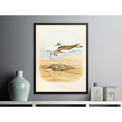 Nathanael No Frame Print
