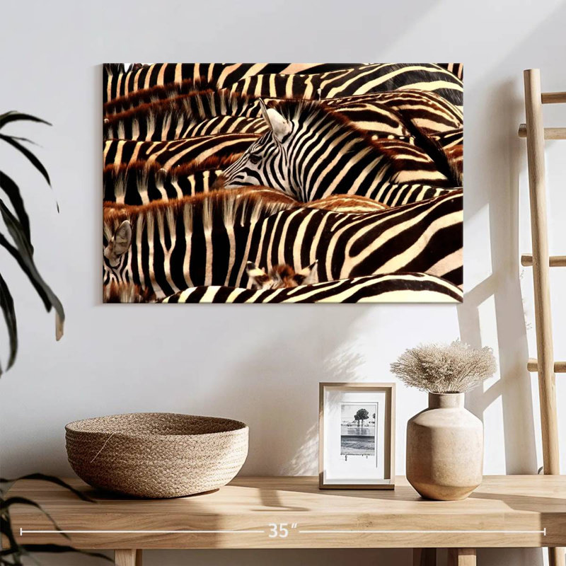 Brampt Serengeti Zebra Stripes, 16" H x 24" W