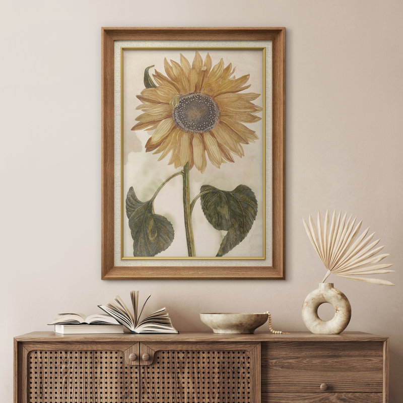 Jaune, tournesol, floral, élégant, monochrome, botanique, illustrations, rustique, campagne française, Naturel