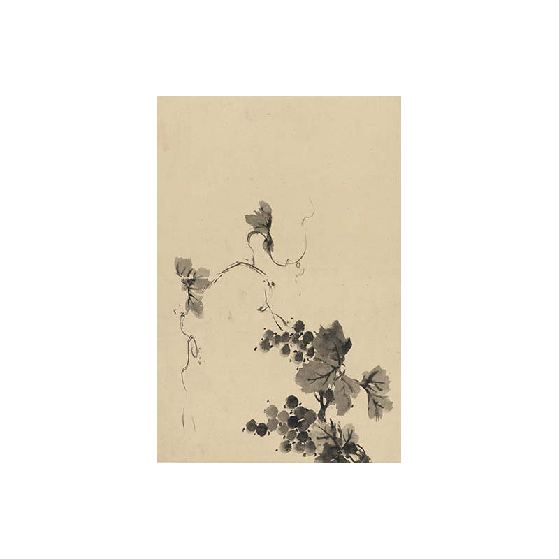 « wine raisin vine », reproduction d’art