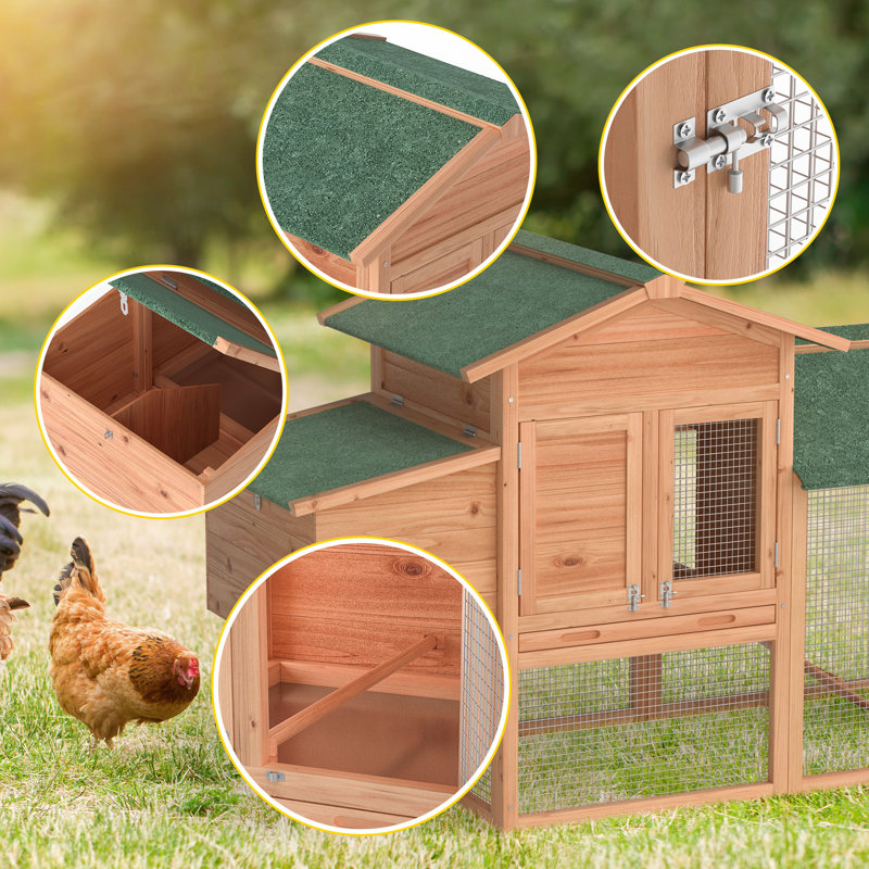 Poulailler avec basse-cour Ravenwood pour 2 poulets