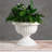 Antonie Urn Planter-564752643-564752701