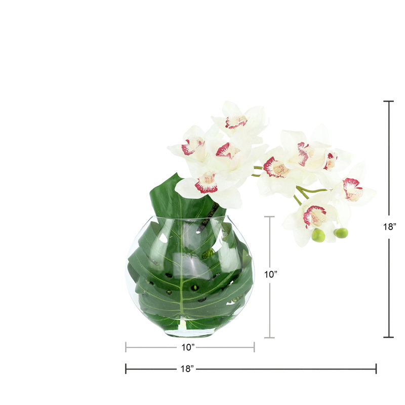 Arrangement orchidée et philodendron