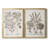 " Sepia Besler Botanicals I " 2 - Pieces-1890286146-1890286145