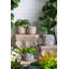 S / 2 pots de fleurs gris sable et ciment avec motif floral