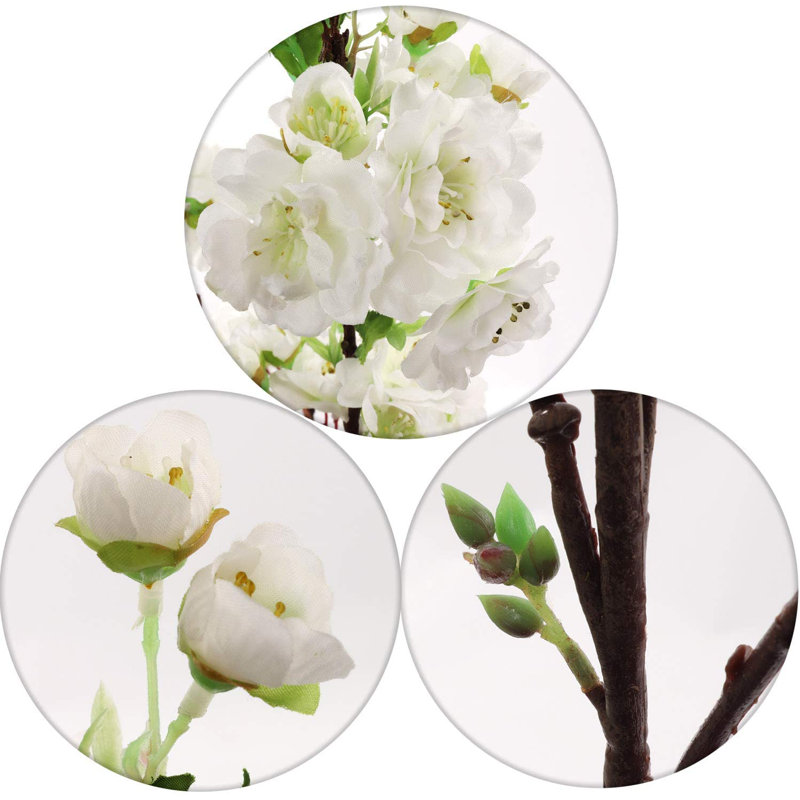 Cerisier en fleurs, Blanc