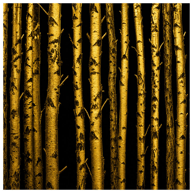 Housses de couette Golden Birch Trees, Très grand lit