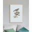 Nesting Navigators Blue 3 Print-563149258
