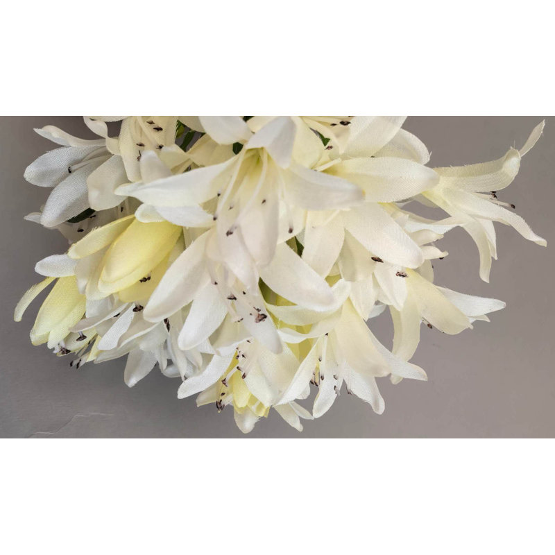 SPRAY POUR AGAPANTHUS, White