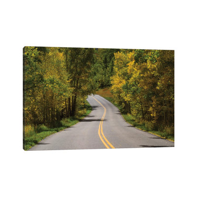 Road Passing Through A Forest, Maroon Bells, Maroon Creek Valley, Aspen, Pitkin County, Colorado, USA I by Panoramic Images - Wrapped Canvas Print