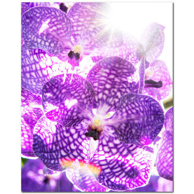 Flowers Photo 12'' x 12'' Satin Ceramic Decorative Mural -  Picture-Tiles.com, PT500656-53XL