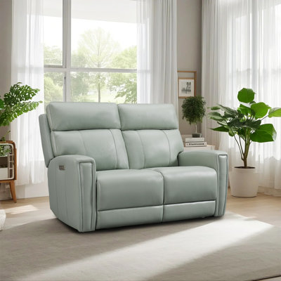 Upholstered 60 " Top Grain Leather Loveseat Power Reclining