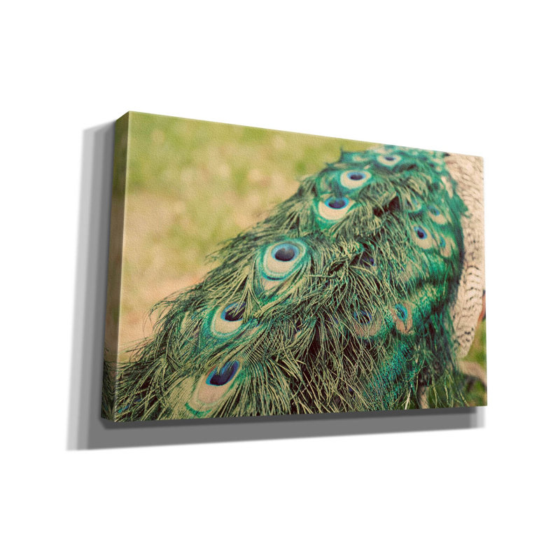 Peacock Feather Tail 01 par Tom Quartermaine, H 12 po x l 18 po x P 0,75 po