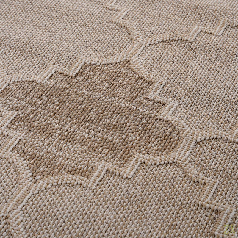 Collection 4X6  /Trellis Indoor/Outdoor Area Rug, Rectangle 4' x 6'2"