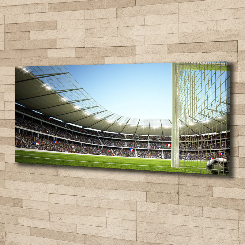 France Stadium - Wrapped Canvas Print