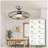 Light Pro 22 In. LED Indoor Smart Ceiling Fan With Remote Control-581875205
