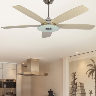 Amonie 56'' Ceiling Fan with LED Lights