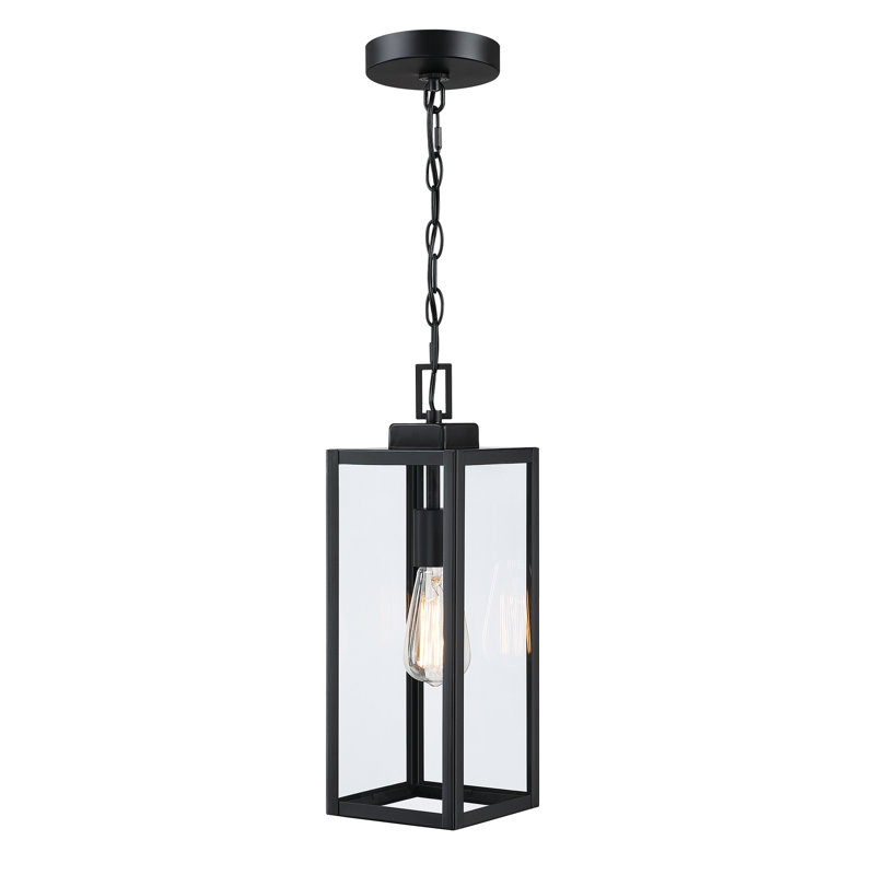 Stolte Outdoor Hanging Lantern